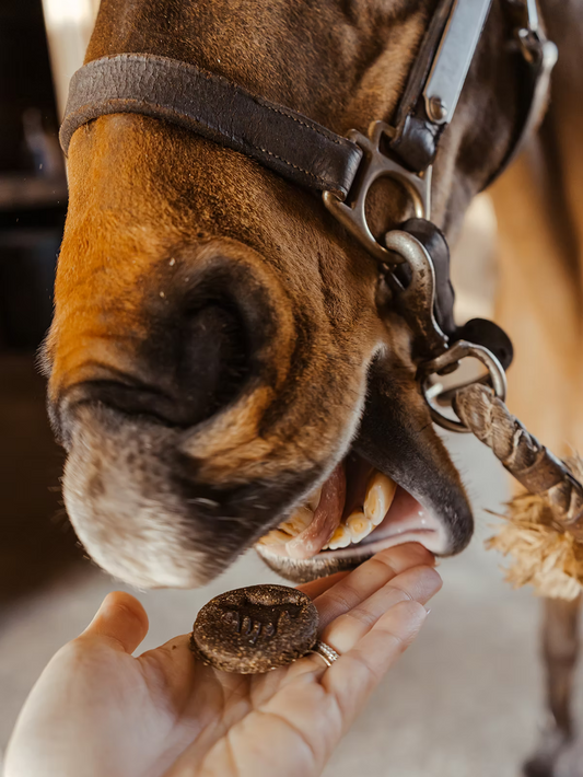 1.25 Pound Bag Everyday Premium Horse Treats
