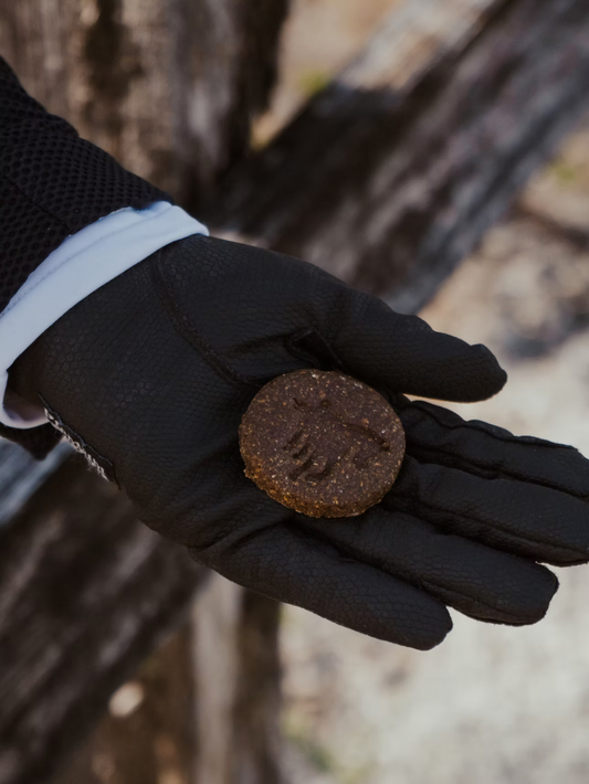 2 Pound Bag Everyday Premium Horse Treats