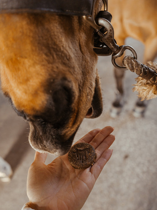 The Horse's Chocolate Chip Cookie
