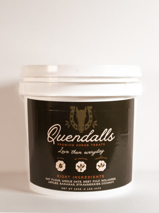 Barn Bucket + 2lbs Premium Horse Treats