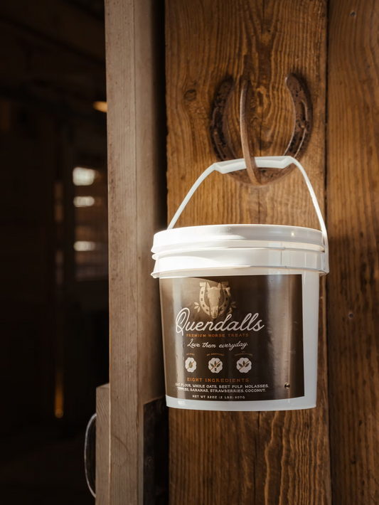Barn Bucket + 2lbs Premium Horse Treats