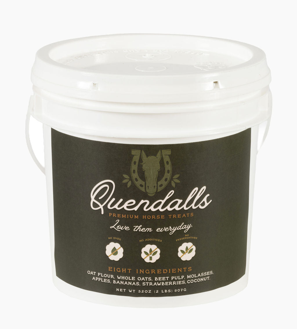 Barn Bucket + 2lbs Premium Horse Treats