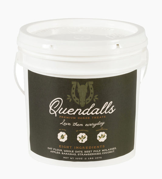 Barn Bucket + 2lbs Premium Horse Treats